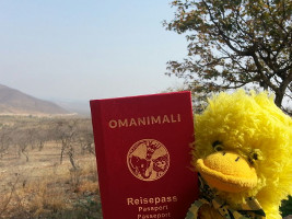 Flügelchen mit Reisepass in Afrika